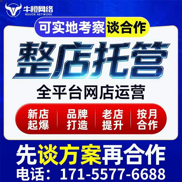 九江电商代运营