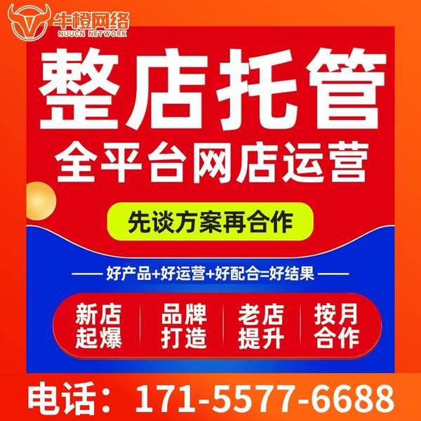 九江电商代运营