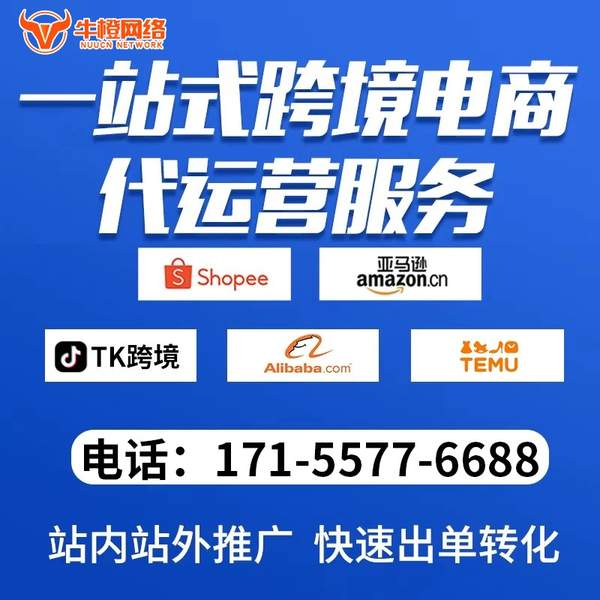 九江电商代运营